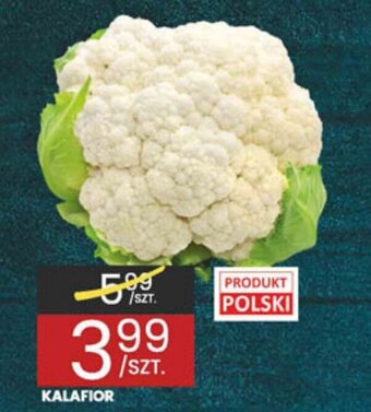 Kalafior 1 szt.