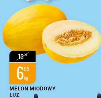 bi1 Melon miodowy 1 kg oferta