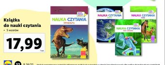 Lidl Nauka czytania - ziemia oferta