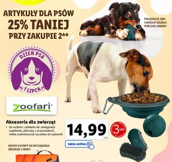 Lidl Szczotka oferta