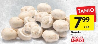 Intermarche Pieczarki oferta