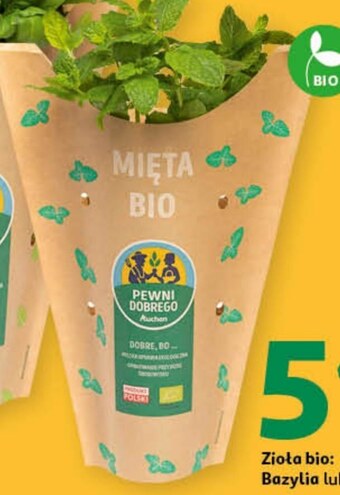 Auchan Mięta Pewni Dobrego oferta