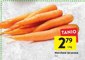 Intermarche Marchewka oferta
