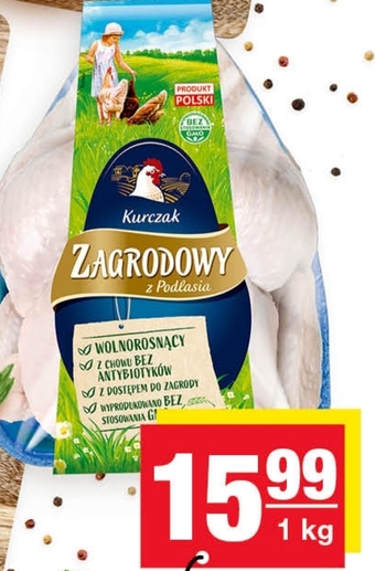 Spar Kurczak Drosed oferta