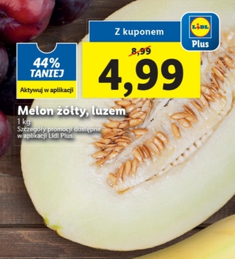 Lidl Melon oferta