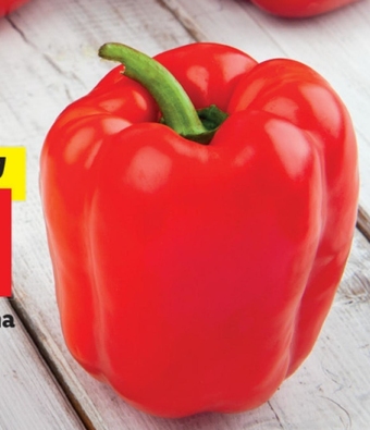 Lidl Papryka oferta