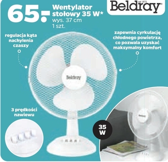 Netto Wentylator Beldray oferta