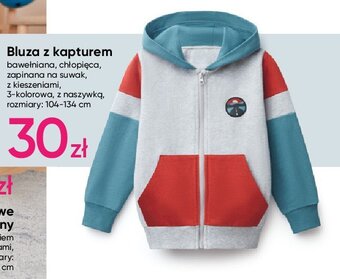 Pepco Bluza chłopięca z kapturem 104-134 oferta