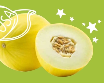 ALDI Melon Świeżejesz oferta