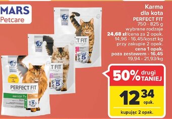 Carrefour Karma dla kota junior oferta