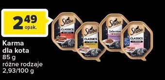 Carrefour Market Karma dla kota z rybą oferta