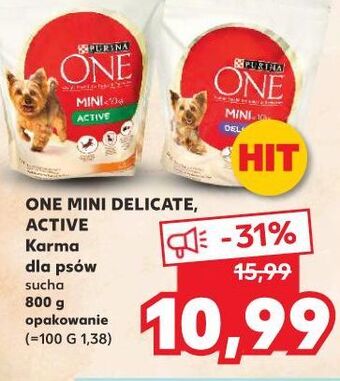 Kaufland Karma dla psa active mini kurczak i ryż Purina One oferta
