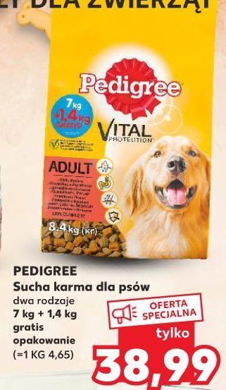 Kaufland Karma dla psa z wołowiną Pedigree Vital oferta