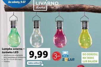 Lidl Lampa solarna - żarówka LED oferta