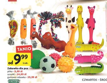 Intermarche Piłka do zabawy Tatrapet oferta