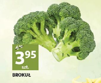 Auchan Brokuł oferta