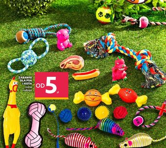 Dealz Zabawka dla kota oferta