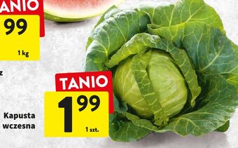 Intermarche Kapusta wczesna oferta