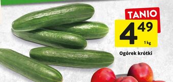 Intermarche Ogórek krótki oferta
