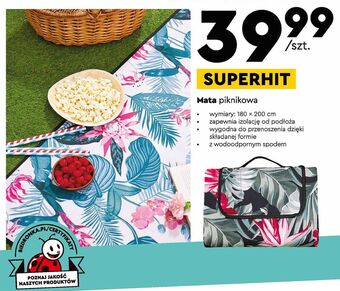 Biedronka Mata piknikowa 180 x 200 cm oferta