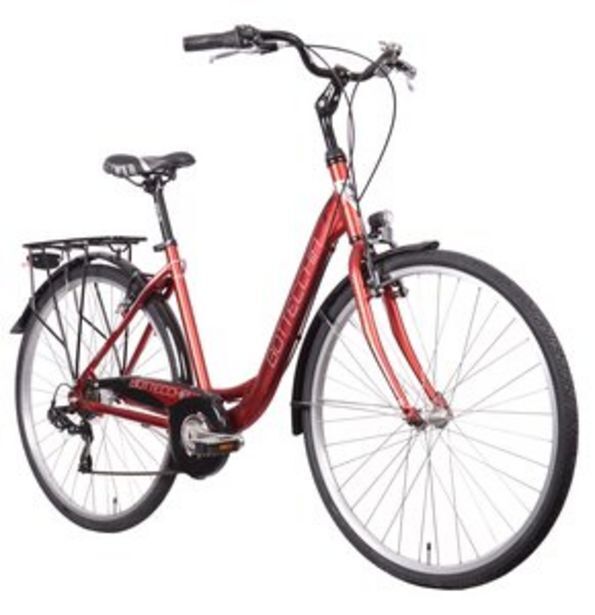 Bottecchia carrefour best sale