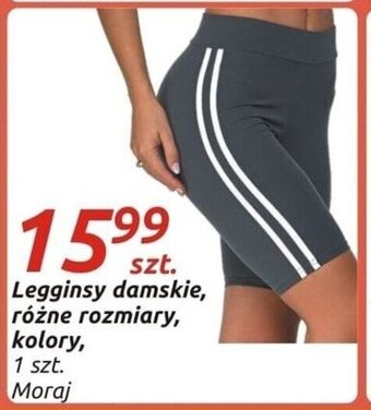 Społem Legginsy damskie oferta