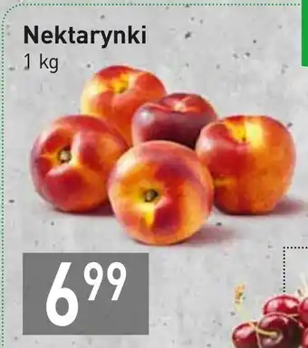 Stokrotka Market Nektarynki 1 kg oferta