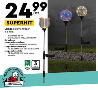 Biedronka Lampa solarna rgb szklana kula 8 x 39 cm Gardenic oferta