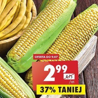 Biedronka Kukurydza kolba oferta
