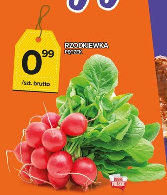 Topaz Rzodkiewka pęczek oferta