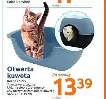 Action Otwarta kuweta oferta