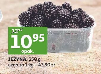Auchan Jeżyny oferta
