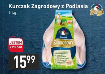 Stokrotka Market Kurczak Zagrodowy oferta
