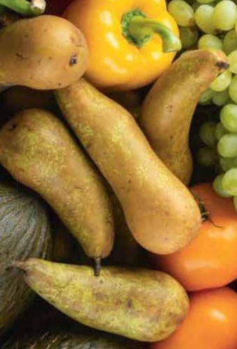 Netto Gruszka oferta