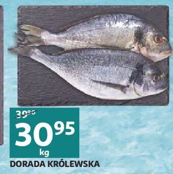 Auchan Dorada królewska oferta