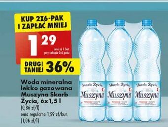 Biedronka Woda lekko gazowana Muszyna Skarb Życia oferta