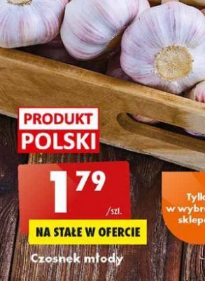 Biedronka Czosnek młody oferta