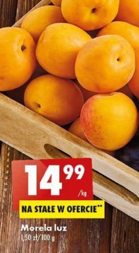 Biedronka Morela oferta