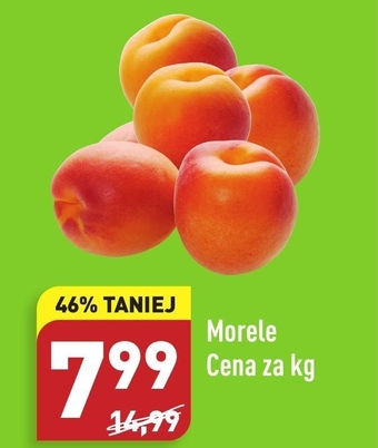 ALDI Morele Aldi oferta