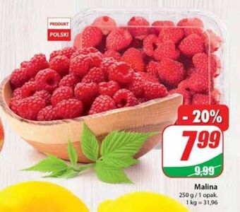 Dino Maliny oferta