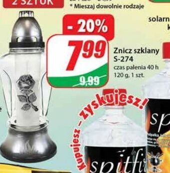 Dino Znicz s- 274 260 g oferta