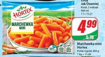 Dino Marchewka mini Hortex oferta