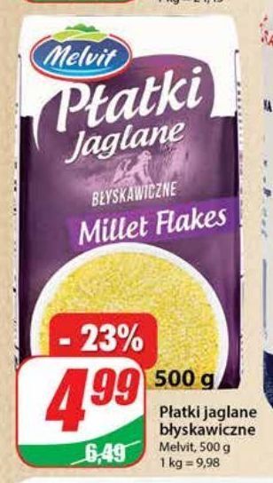 Dino Płatki błyskawiczne jaglane Melvit oferta