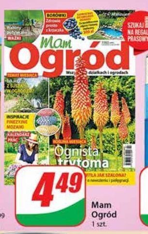 Dino Mam ogród oferta