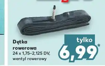 Kaufland Dętka rowerowa 24" oferta