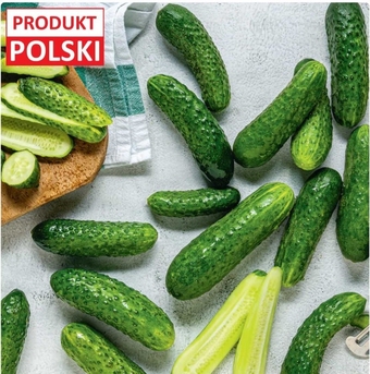 Carrefour Ogórek oferta