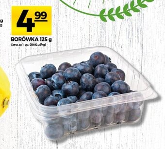 Topaz Borówka 125g oferta