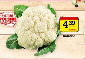 Kalafior 1szt.
