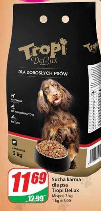 Dino Karma dla psa z wołowina oferta