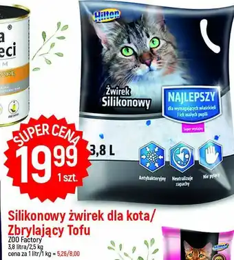 Dino Żwirek silikonowy dla kota oferta